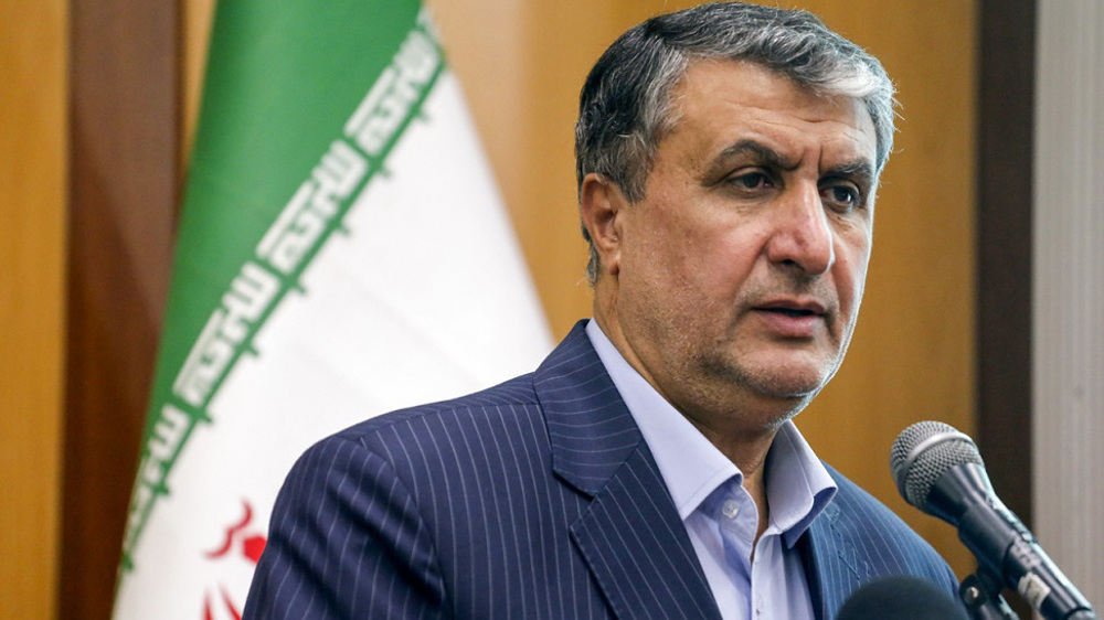 Nuclear chief: Iran to begin construction of Arak IR-20 reactor next year 
