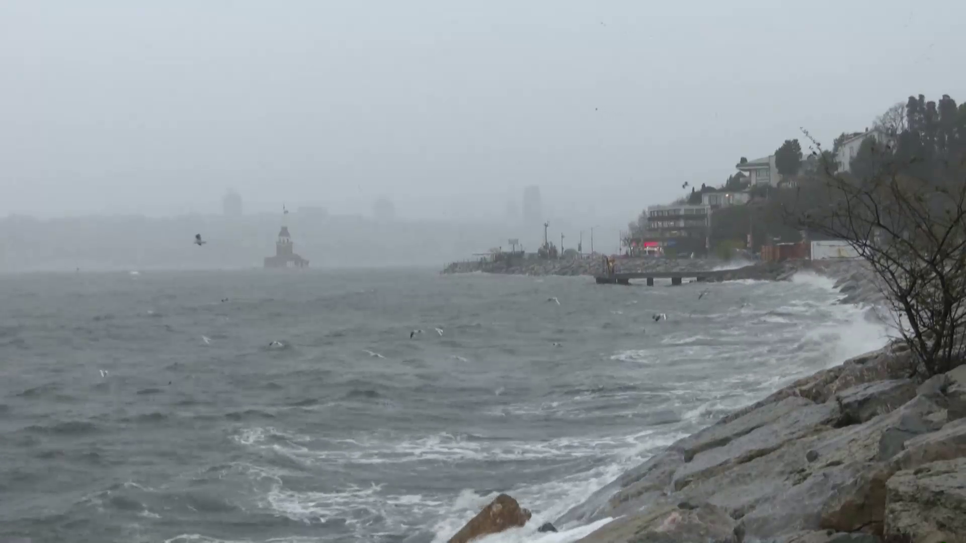 Four dead, 19 injured as gales tear into Istanbul