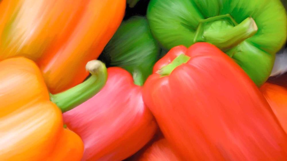 Iran says bell pepper exports to Russia to resume soon
