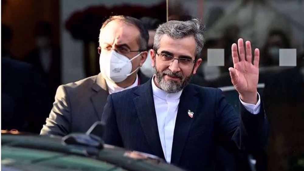 Iran's top negotiator says 'optimistic' about agreement in 'very serious' Vienna talks
