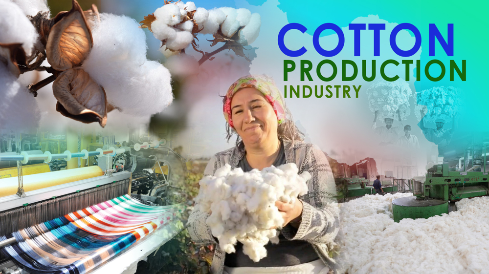 Cotton production industry