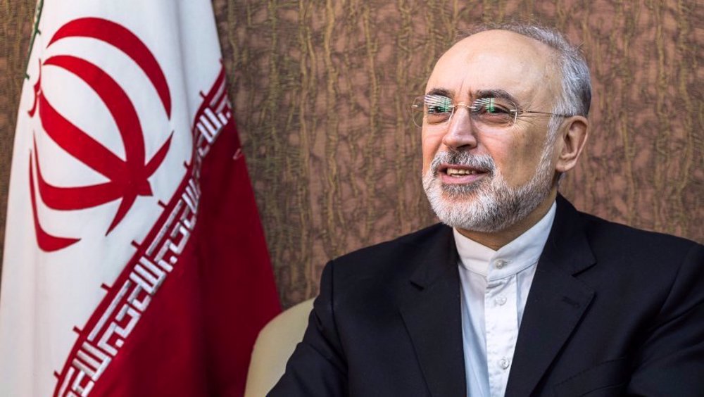 Iranian official promises ‘good news’ on nuclear propulsion