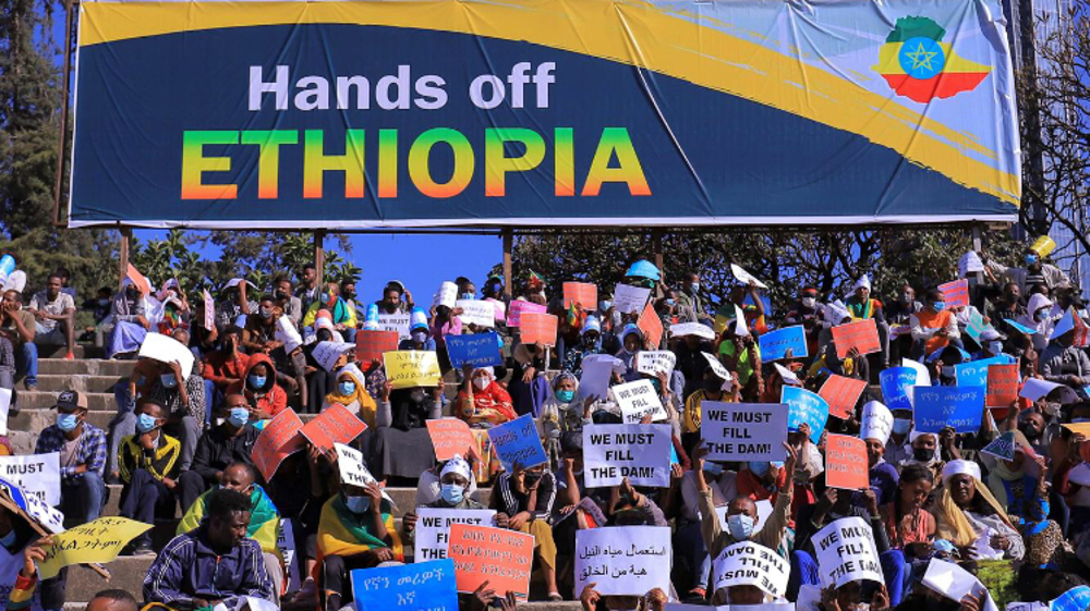 'Hands off Ethiopia': Protesters slam US meddling in mass rally 
