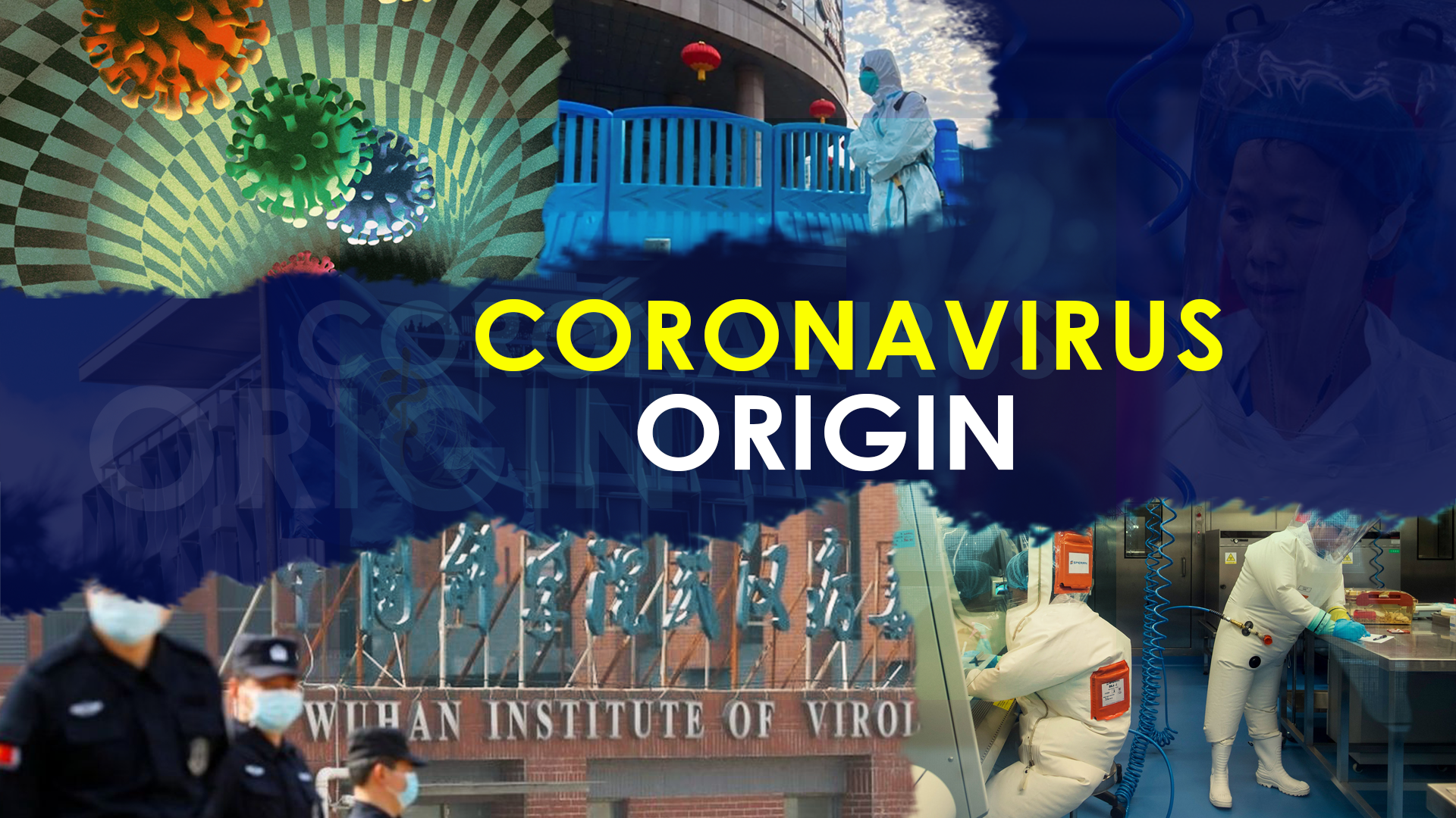 Coronavirus origins questioned again