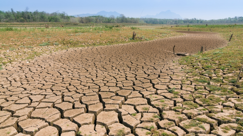 UN: Damage from water scarcity, drought could rival COVID pandemic