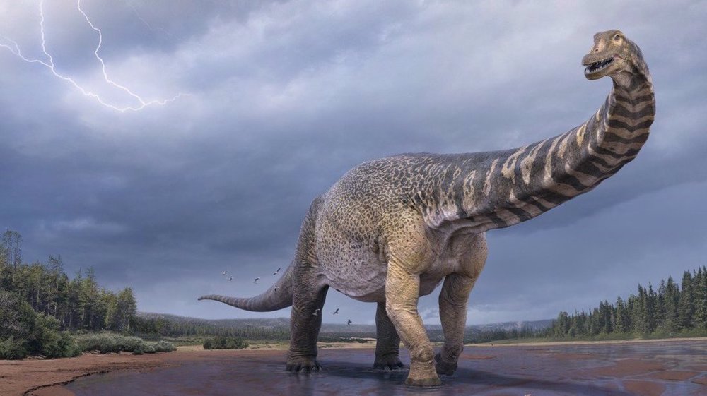 Australia's largest dinosaur identified as new species