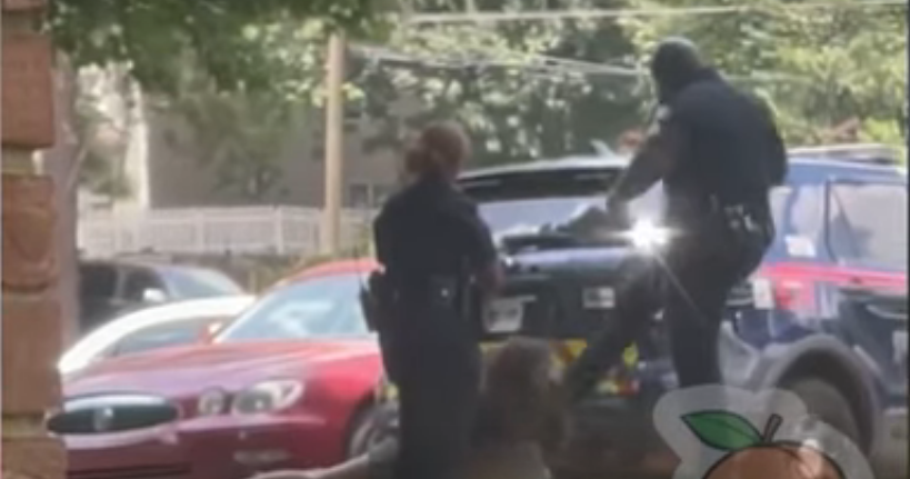 Video surfaces of Atlanta police kicking handcuffed Black woman in face