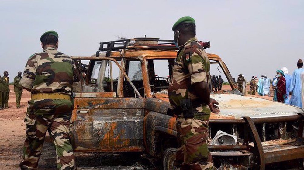 Dozens killed in militant raid on village in western Niger