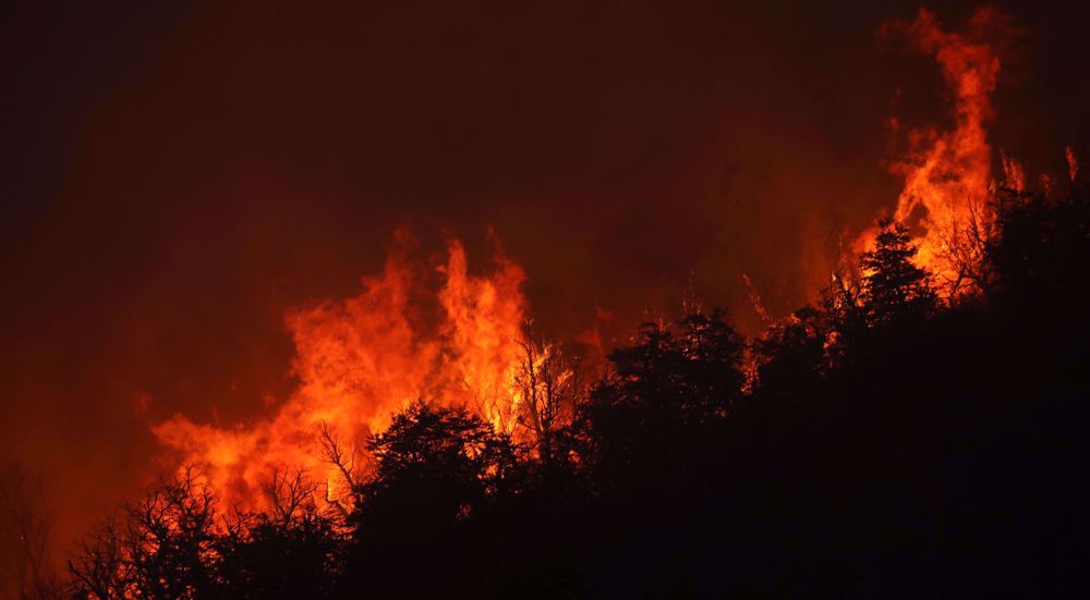 Firefighters battle forest blaze in Argentina