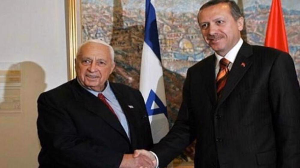 Syrie : duo Israël/Turquie a peur 