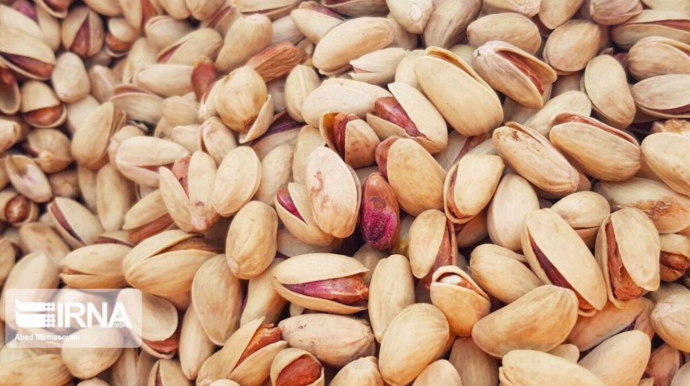 Iran pistachio exports down 19% y/y in March-December