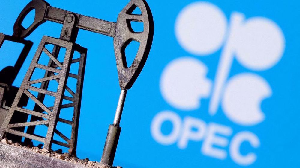 OPEC+ members back Riyadh amid US-Saudi tensions