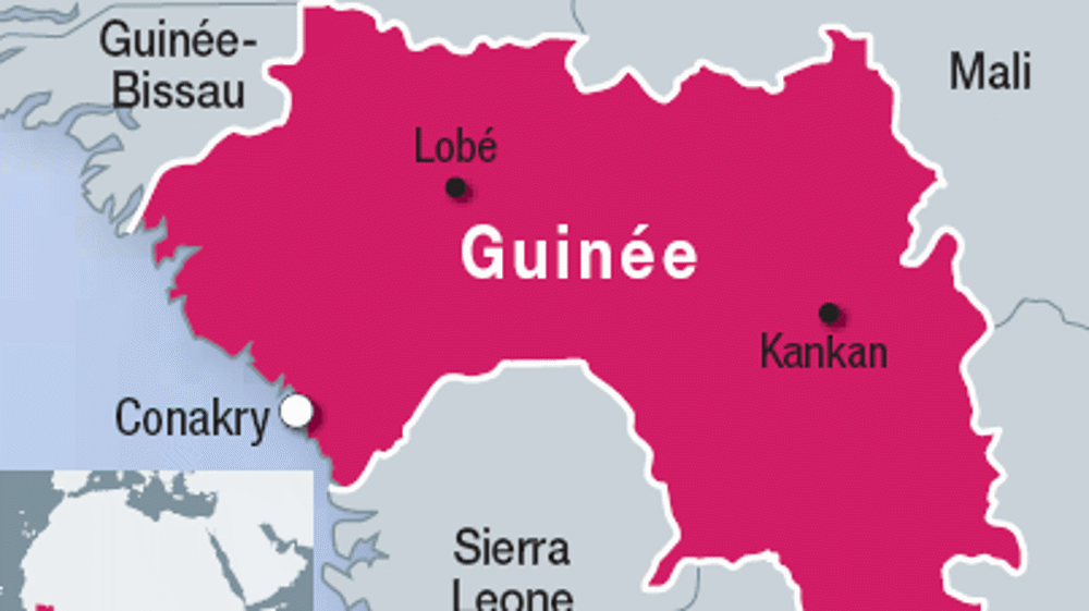 La Guinée fera saigner l'OTAN! 