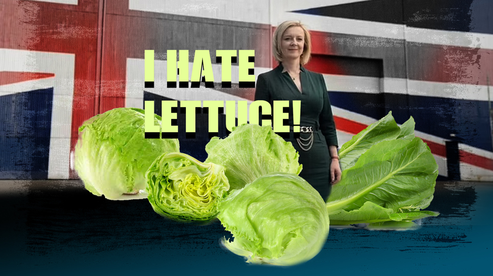 I Hate Lettuce!