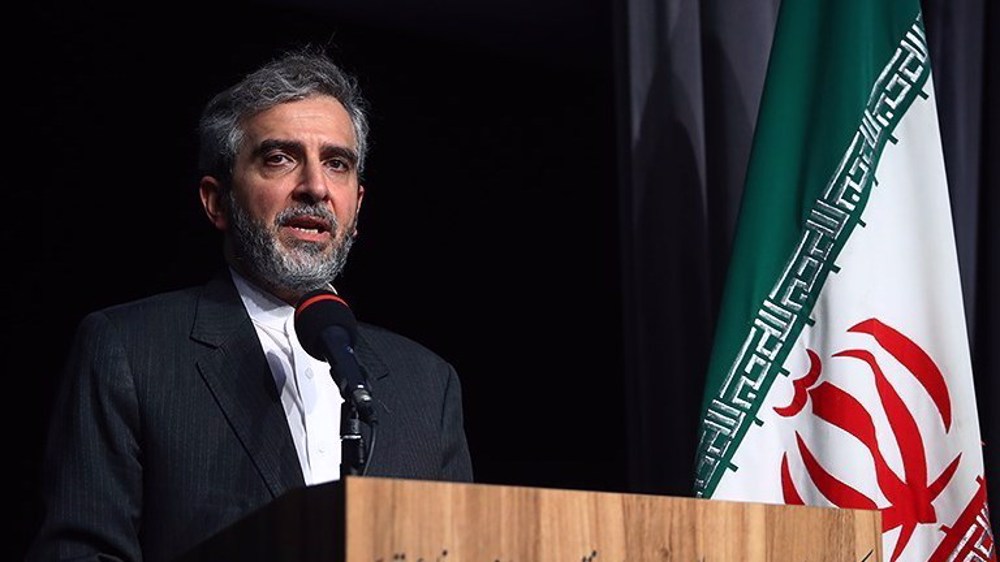 Iran deputy FM vows support for rights of citizens living abroad