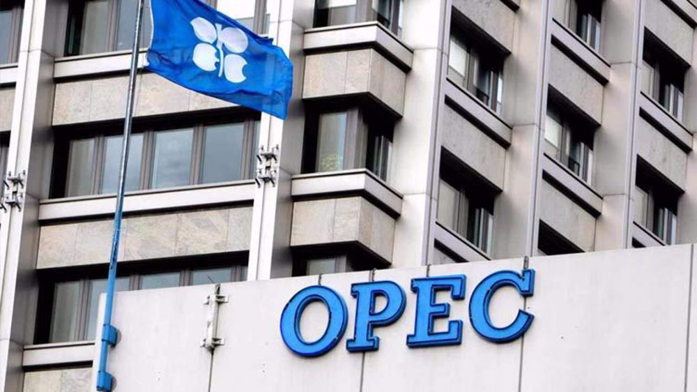 White House says OPEC+ ‘aligning’ with Russia following oil production cut