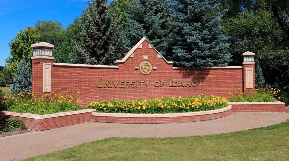 Four University of Idaho students found dead, police investigate as homicides
