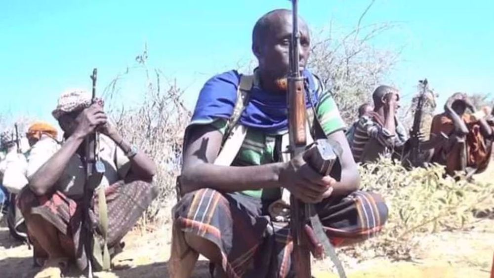 Somalia: Army kills scores of al-Shabab terrorists