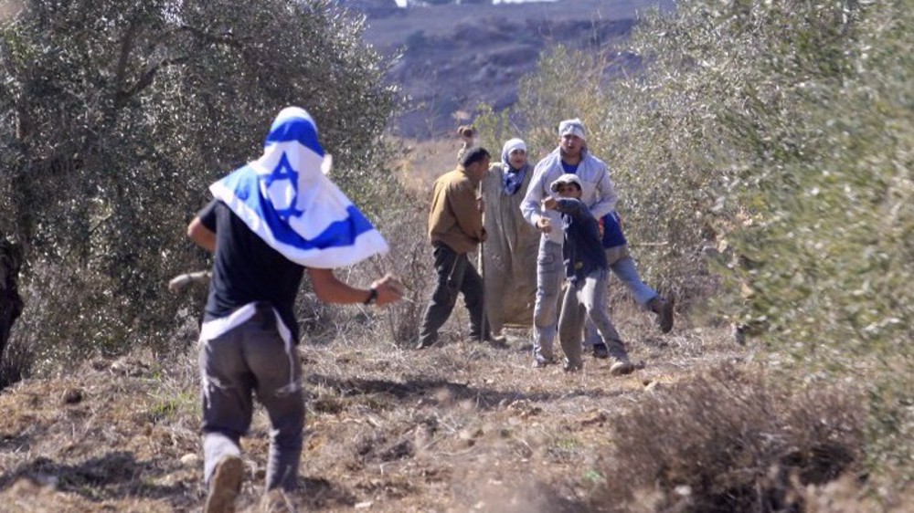 Israeli settlers spray Palestinian-owned olive trees with toxins