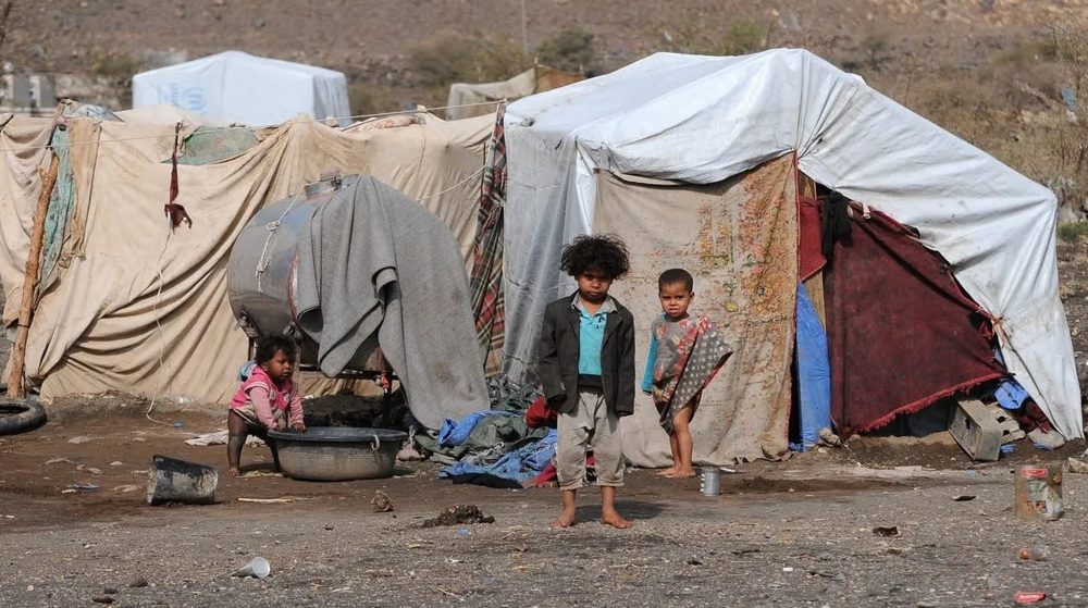 Yemen war could stop tomorrow if ‘humanitarian desire’ exists: Activist