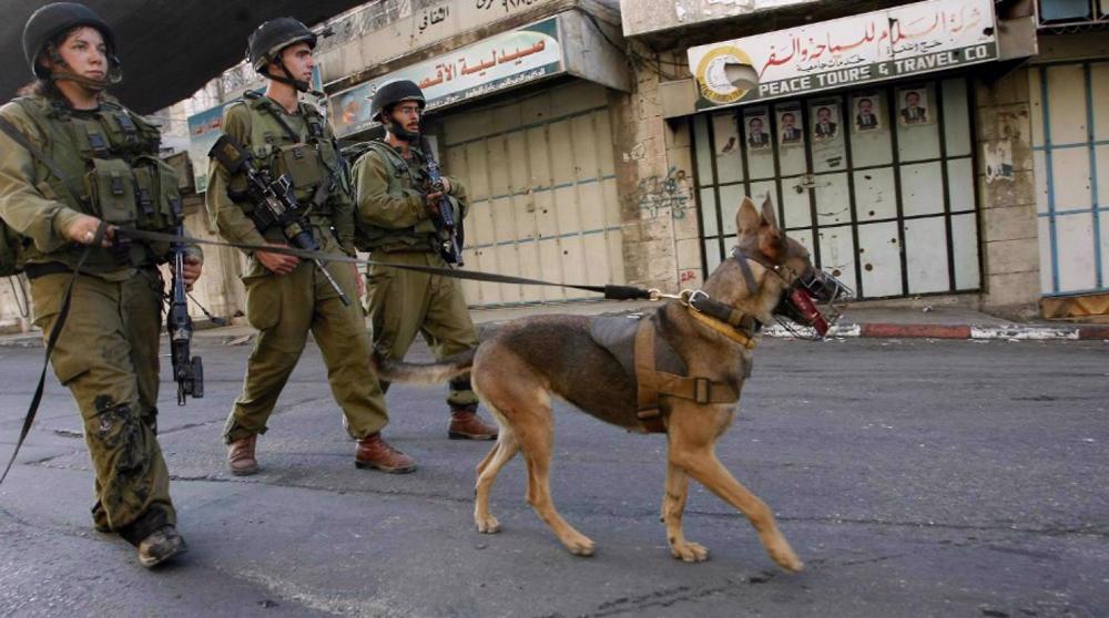 Israeli troops unleash military dog on surrendering Palestinian teenager