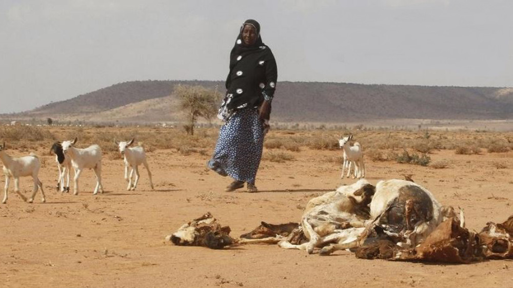 Millions of people face hunger in Horn of Africa amid frequent droughts