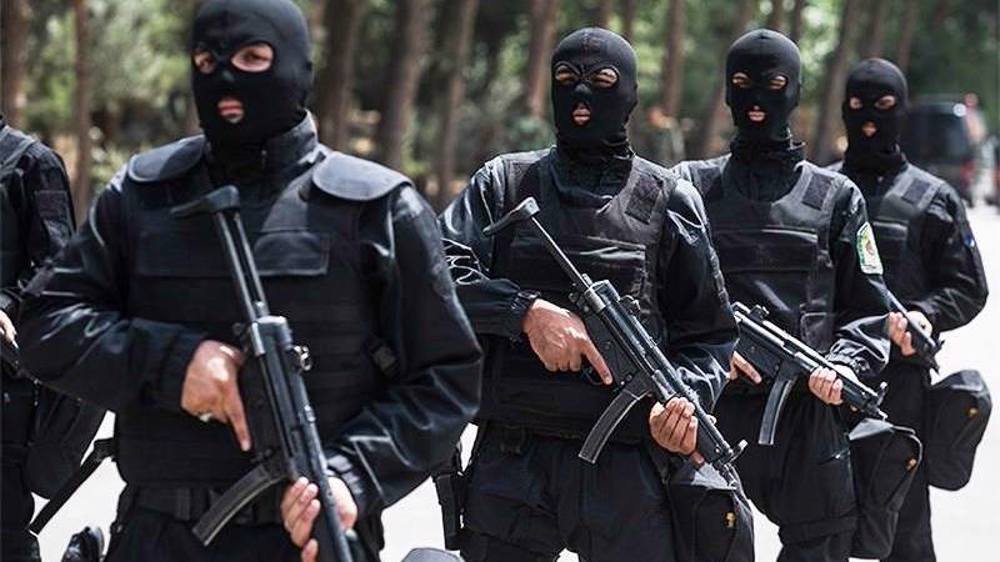 Iranian security forces bust two terrorist cells in southeastern Iran