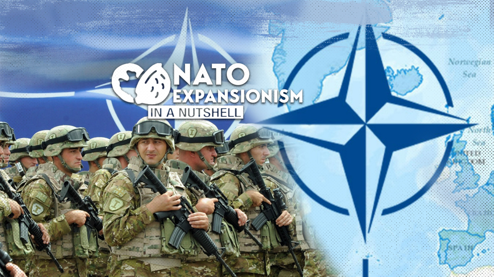 NATO expansionism