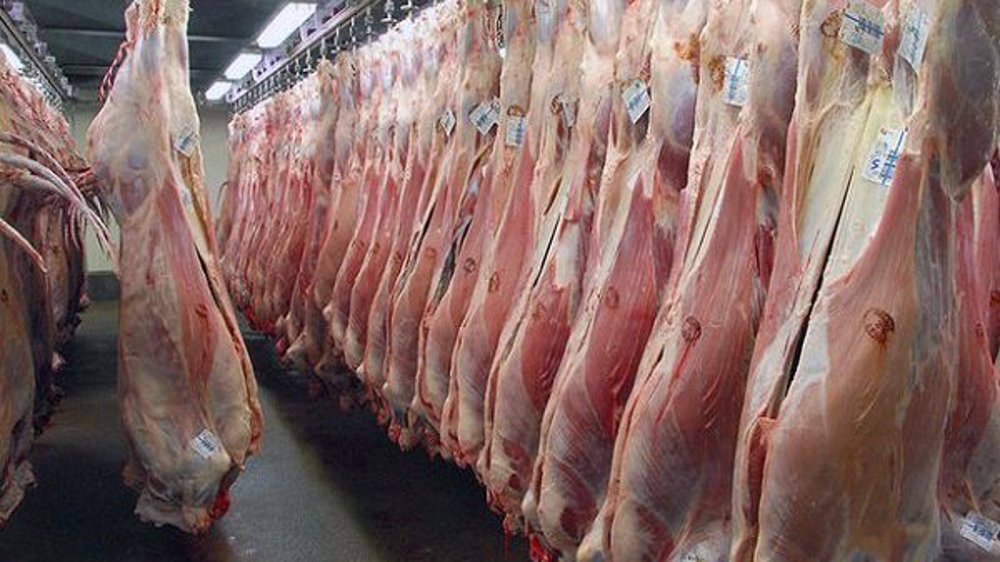 Iran orders meat imports to control domestic prices