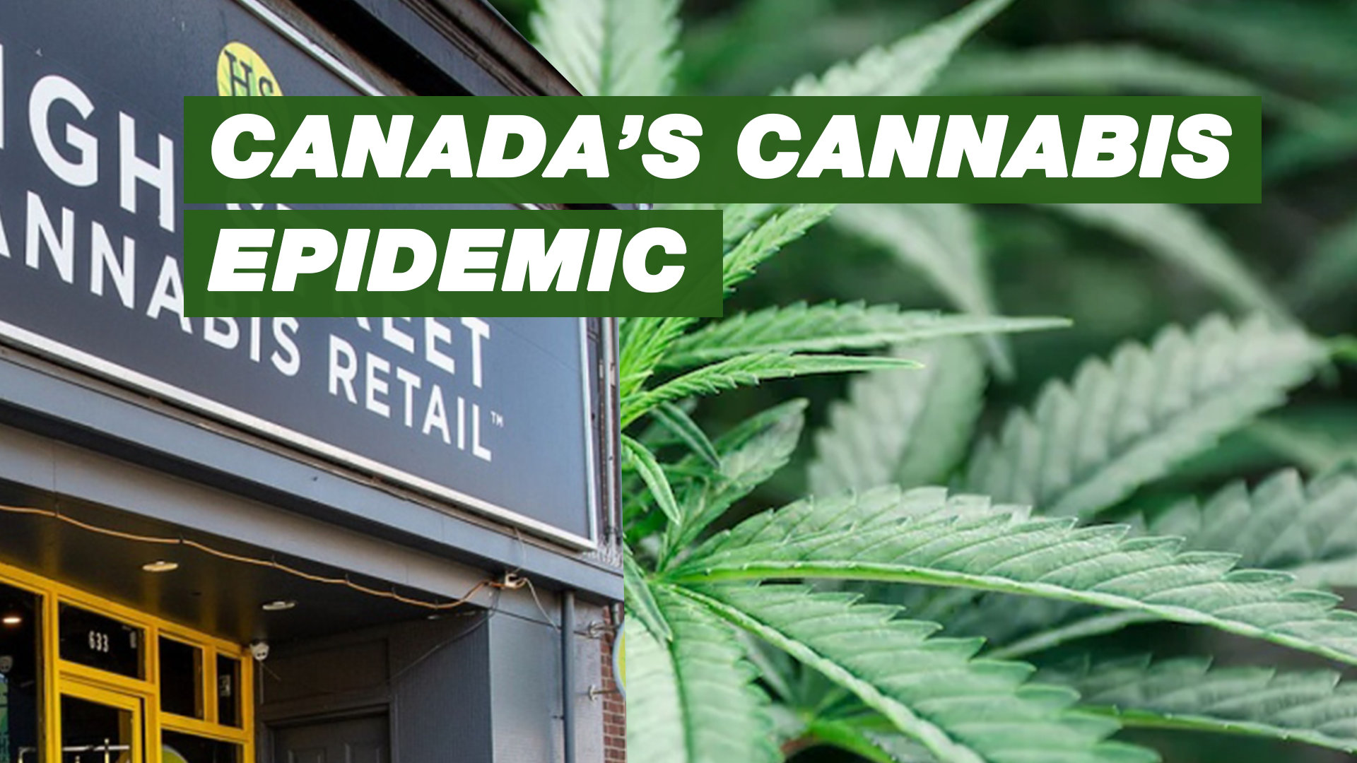 Canada's cannabis epidemic
