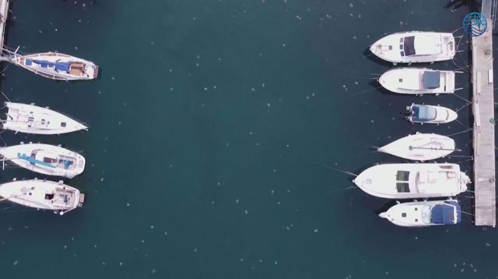 Drone captures jellyfish invading northern Italian harbor