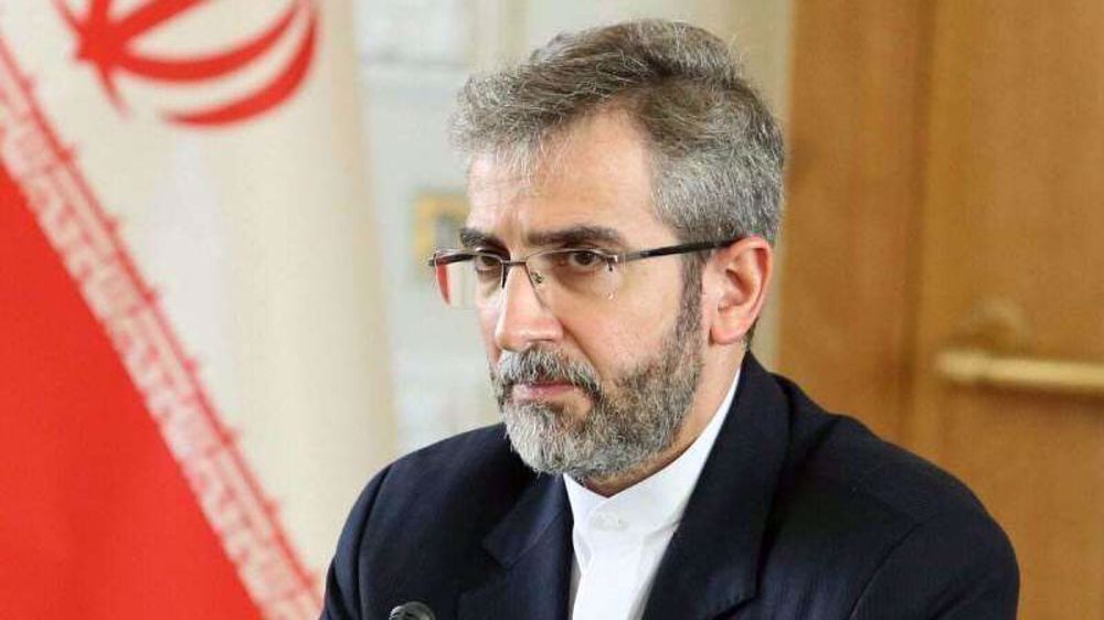 Iran sees energy, food concerns opportunity for global cooperation