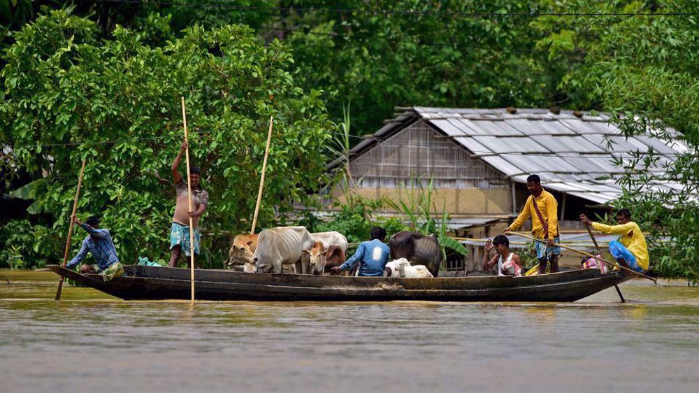 Flood-affected people ferry their cattle to safer places through a flooded field after heavy rains i