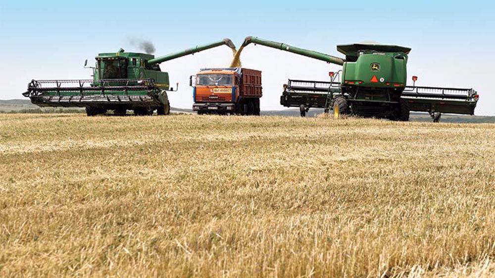 Kremlin: West to blame for stopping grain deliveries, global food crisis