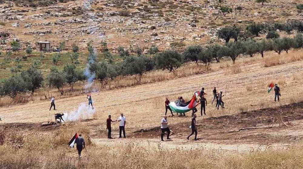 Nearly 90 Palestinians injured in clashes with Israeli forces in Nablus