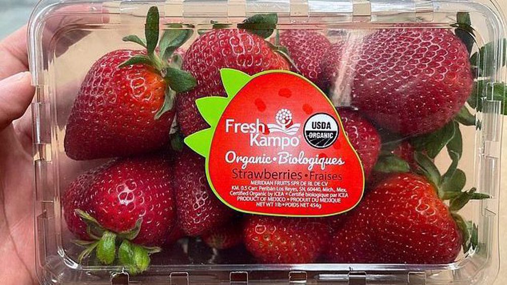 Hepatitis outbreak in US and Canada linked to tainted organic strawberries