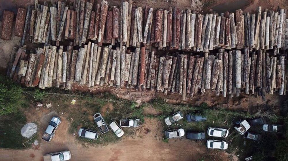 Brazil sets new grim record for Amazon deforestation 