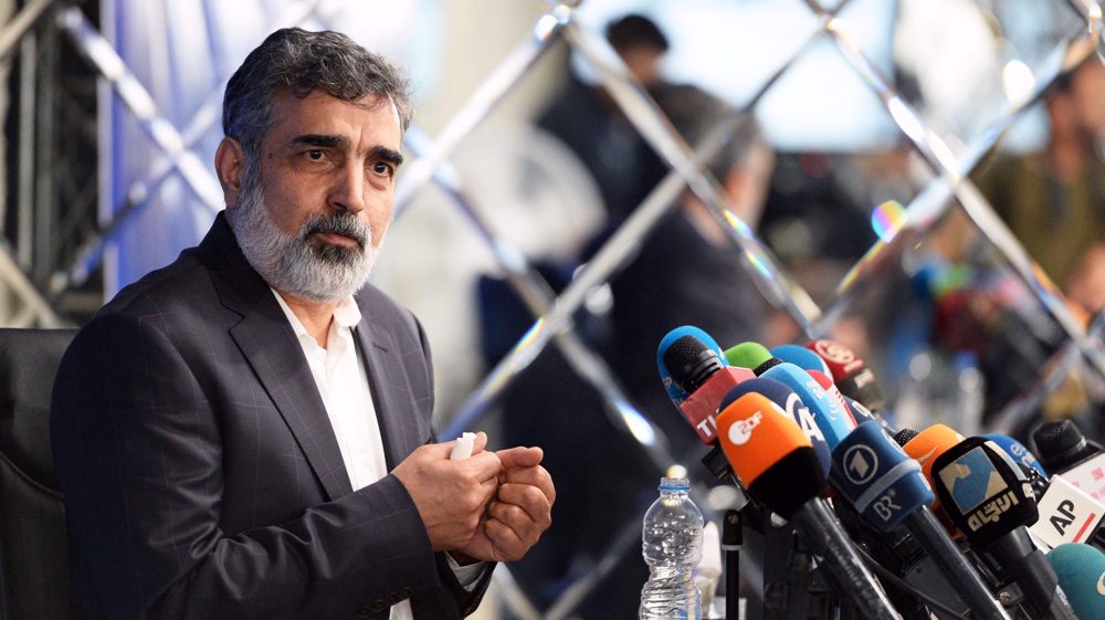 'Iran notified IAEA of Natanz construction work despite no obligation'