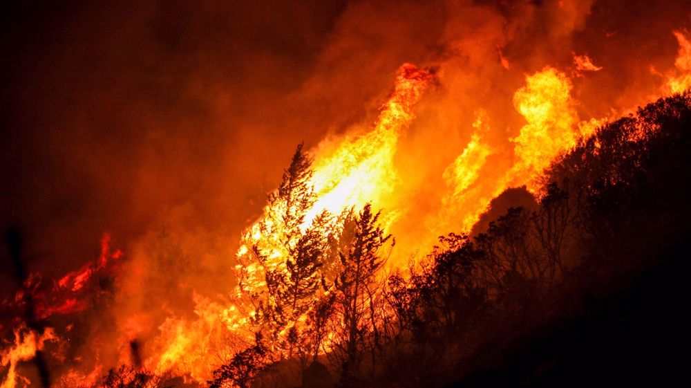 Turkey may reinstate death penalty after wildfires in Aegean forests  