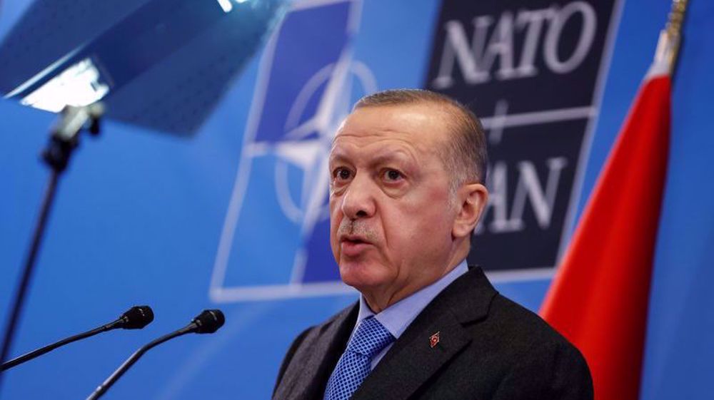 Turkey's Erdogan seeks more than 'empty words' from Sweden, Finland on NATO
