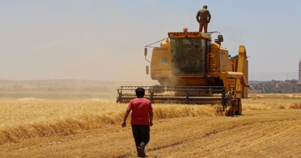 UN warns of full-on global food crisis amid war in Ukraine