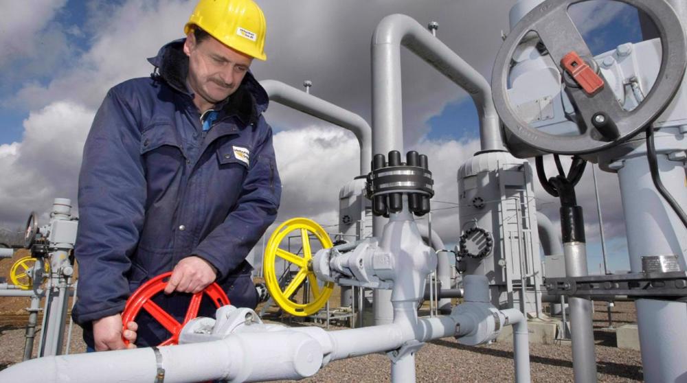 German senator warns of hot water rationing amid rising gas scarcity