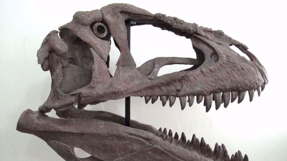 Fossil reveals 'gargoyle' dinosaur in Argentina that lived 90 million years ago