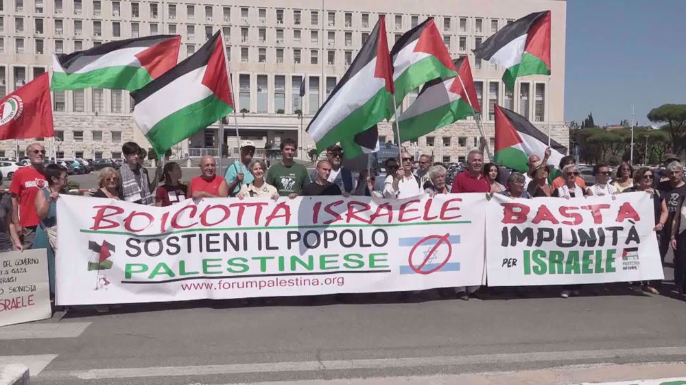 Pro-Palestine demo held at Italy's Foreign Ministry