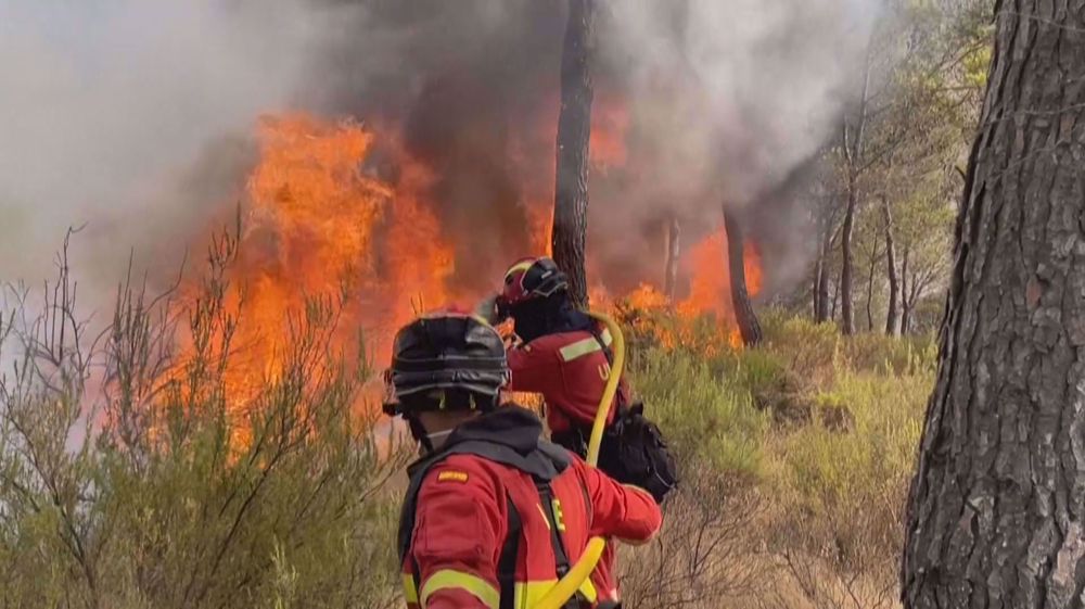 Firefighters battle huge blaze fanned by winds in southeast Spain