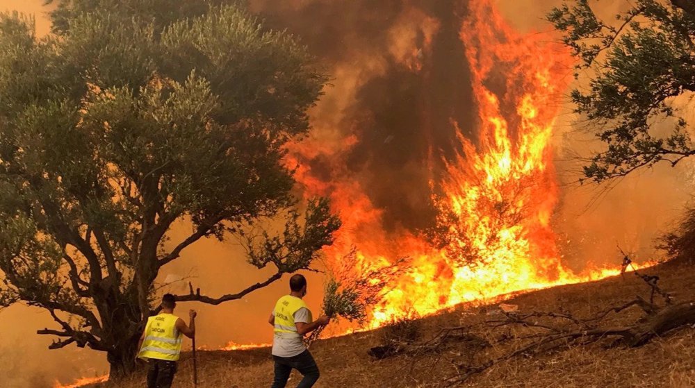 26 dead as forest fires spread in north Algeria