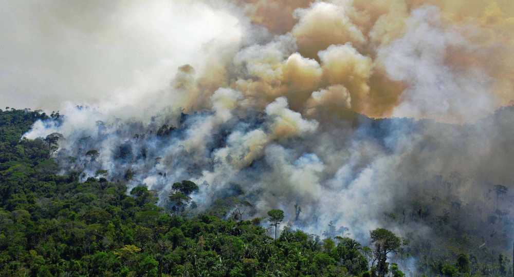 Brazil records worst day for Amazon fires in 15 years