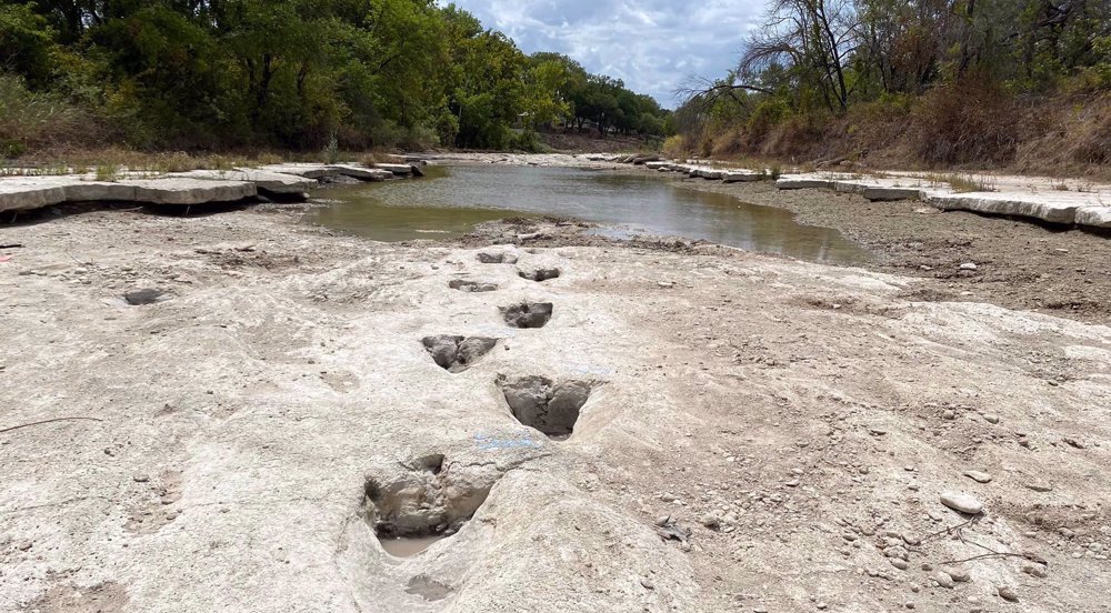 Dinosaur tracks from 113 million years ago exposed by drought in Texas