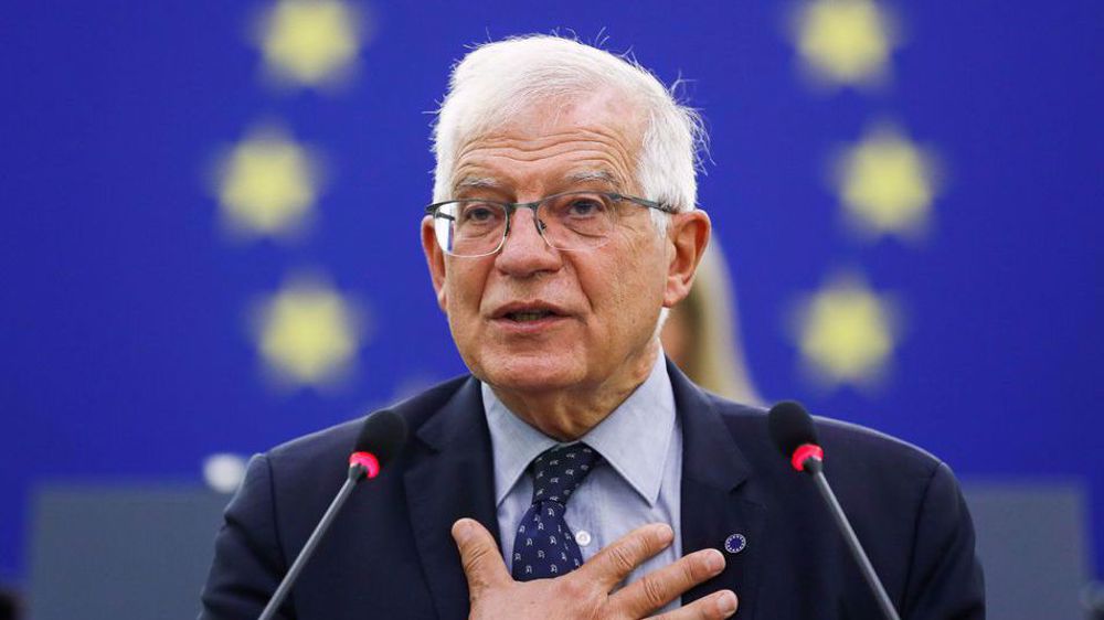 Borrell says visa ban for all Russians would lack necessary support