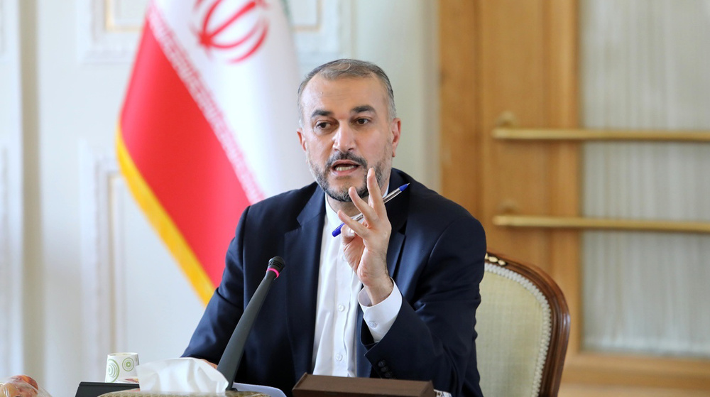 Iran FM: Negotiators bent on safeguarding economic, nuclear interests in Vienna talks